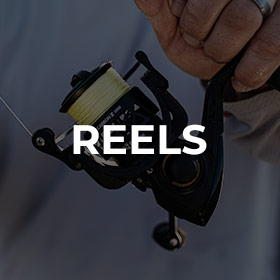 reels